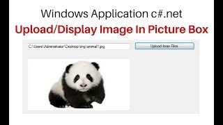 display image into picturebox in c windows application 46 [upl. by Rew]