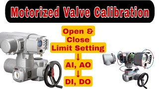 Rotork Motorized valve Calibration  Rotork MOV [upl. by Brittaney]