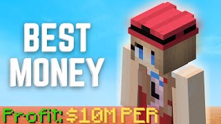 THIS MONEY MAKING METHOD IS INSANE Hypixel SKyblock [upl. by Nemajneb511]