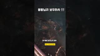 어이가네 어이가네 농어야 남해 외국인 농어 omg 바다 낚시 [upl. by Idel]