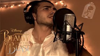 Baritone Sings Evermore  Josh Groban Disney cover [upl. by Hcnarb]