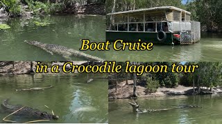 Boat Cruise in a Crocodile Lagoon tour  Hartleys Crocodile Adventure [upl. by Yennej771]