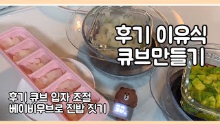 21 토핑이유식 ㅣ 후기 큐브만들기 amp 베이비무브로 진밥 큐브 만들기 [upl. by Deckert152]