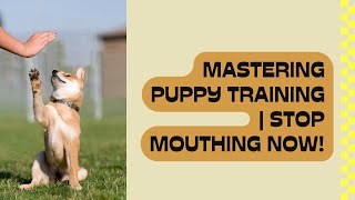 Mastering Puppy Training  Stop Mouthing Now [upl. by Melc]