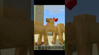 Breeding The New Minecraft Mobs Is Weird Allays Camels and Armadillos minecraft minecrafthowto [upl. by Lilla]