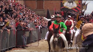 Finale e festeggiamenti Palio dei Somari 2023 [upl. by Eveineg]