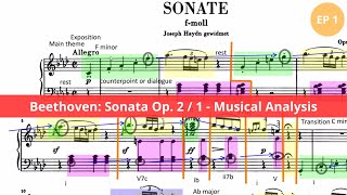 Understanding Beethovens Piano Sonata No 1 1st mov  EP 1 [upl. by Maillliw]