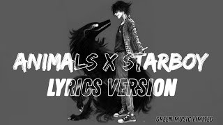 Animals x StarBoy Lyrics [upl. by Rede]