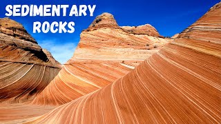 Three types of Sedimentary Rocks [upl. by Kanor]