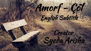 Amorf  Çöl  Lyrics With English Subtitle  Syeda Arisha [upl. by Akinod]