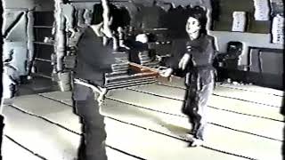 Kenjutsu Techniques with Ishizuka Sensei [upl. by Pampuch]