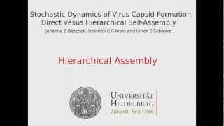 Stochastic Dynamics of Virus Capsid Formation Hierarchical SelfAssembly [upl. by Nus]