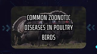 COMMON ZOONOTIC DISEASES IN POULTRY BIRDS [upl. by Marleah]