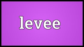 Levee Meaning [upl. by Antipas]