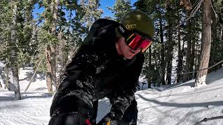 SNOWBOARDING BIG BEAR MOUNTAIN CALIFORNIA  TREE RUNS [upl. by Kristien]