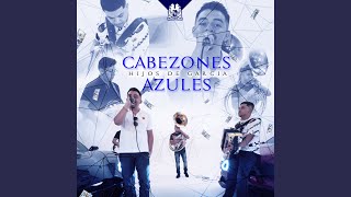 Cabezones Azules [upl. by Nava]