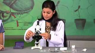 Science Lab VideoBiologyClass IXChapter1Introduction to Biology [upl. by Wertz141]