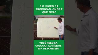 Como está o lucro da sua produção de hortaliças horta agro hortaliças renda alface solo [upl. by Longawa622]