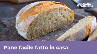 PANE FATTO IN CASA FACILE Ricette perfetta garantita [upl. by Ahtivak]