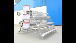 Layer Poultry Cage Installation [upl. by Keare]