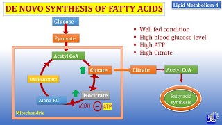 4 De Novo synthesis of Fatty acid  Lipid metabolism4  Biochemistry  NJOY Biochemistry [upl. by Ettevroc]