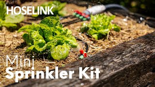 Hoselink Mini Sprinkler Kit  Australia [upl. by Aznecniv]