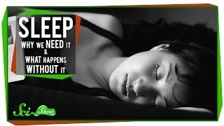 Sleep Why We Need It and What Happens Without It [upl. by Wanyen906]