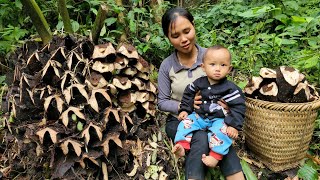 Single mother harvesting horseshoe tubers to sell  building a pig pen  building a life [upl. by Yddor]