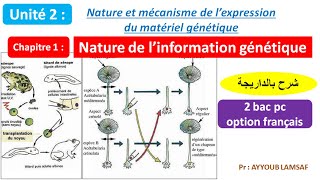 Nature de linformation génétique svt 2 bac pc option français شرح بالداريجة [upl. by Eetsud]