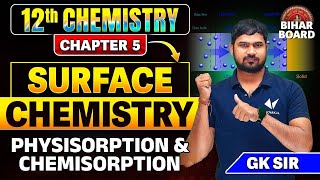 Physisorption And Chemisorption Class 12th  12th Chemistry Chapter 5 Bihar Board  Gk Sir [upl. by Tamara]