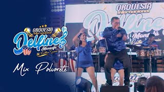 ORQUESTA INTERNACIONAL DELFINES  MIX POLVORETE  EN VIVO [upl. by Pulling744]