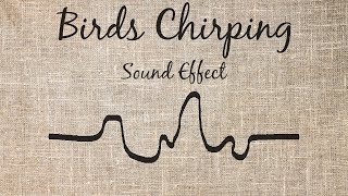 Birds Chirping Sound Effect [upl. by Lanoil592]