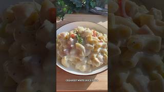 White sauce pasta recipe video whitesauce pasta whitesaucepasta pastarecipe [upl. by Verna]