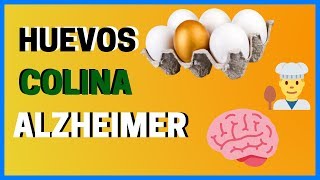 La COLINA del HUEVO disminuye el RIESGO de Alzheimer Nuevo Estudio [upl. by Ainehta743]