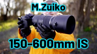 OM System MZuiko 150600mm IS ED the LONGEST M43 lens and its GREAT  RED35 Review [upl. by Ij719]