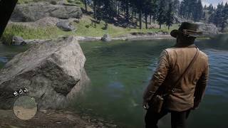 RDR2 Herbalist 9 as Arthur All New Austin plants and exact location Easy way to get LotE outfit 119 [upl. by Trude]