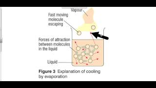 evaporative cooling explained [upl. by Sigfried]