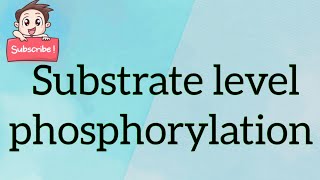 Substrate level phosphorylation [upl. by Leuqer]