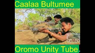 Caalaa Bultumee kai qeerroo new oromo music [upl. by Glovsky]