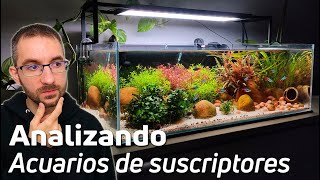 🕵️ Acuarios de Suscriptores Nº52 Aquascaping  Gambarios  Bettas  Acuarios Plantados [upl. by Ita312]