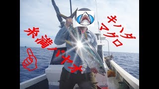 パヤオジギングで初２桁キハダマグロ～Okinawa Itoman Payao Jigging Fishing [upl. by Yznil]