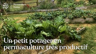 Permaculture au potager  115 kg de légumes sur 50 m2 dans un jardin familial [upl. by O'Conner623]