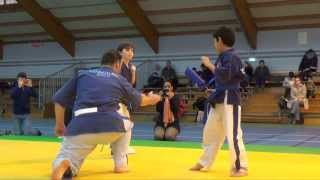 Yoseikan Budo Interclub 022014 [upl. by Winfrid]