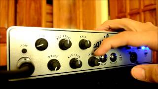 AGUILAR TONE HAMMER 500 RAW Demo [upl. by Goldwin]