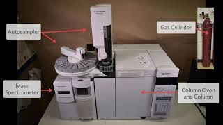 Gas chromatography mass spectrometry [upl. by Ahc652]