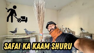 Birds vale room ki safai karni shuru kardi 😮‍💨😮‍💨 [upl. by Odarbil]