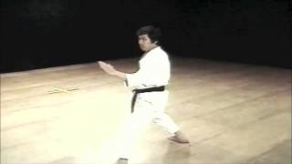 Kata Heian Nidan Kanazawa [upl. by Ahsiat]