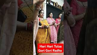 Hari Hari Tulsa Gori Gori Radha love devotionalsong song bhaktisong hindudevotionalsong bhajan [upl. by Neibaf846]