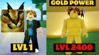 Noob To Pro  Noob uses GOLD Power Level 1 To Max in Meme Sea [upl. by Llennol898]