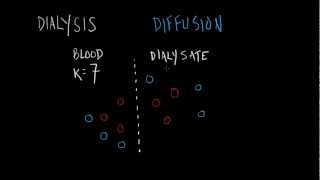 Dialysis Basics [upl. by Bakki]